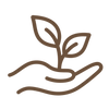 A minimalist brown line icon depicting a hand supporting a small plant with two leaves, set against a solid white background.