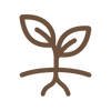A minimalist brown outline icon of a sprouting plant with two leaves and roots on a solid white background.